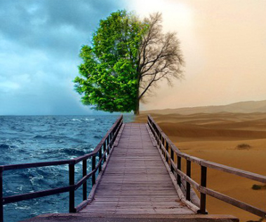 Course Thumbnail